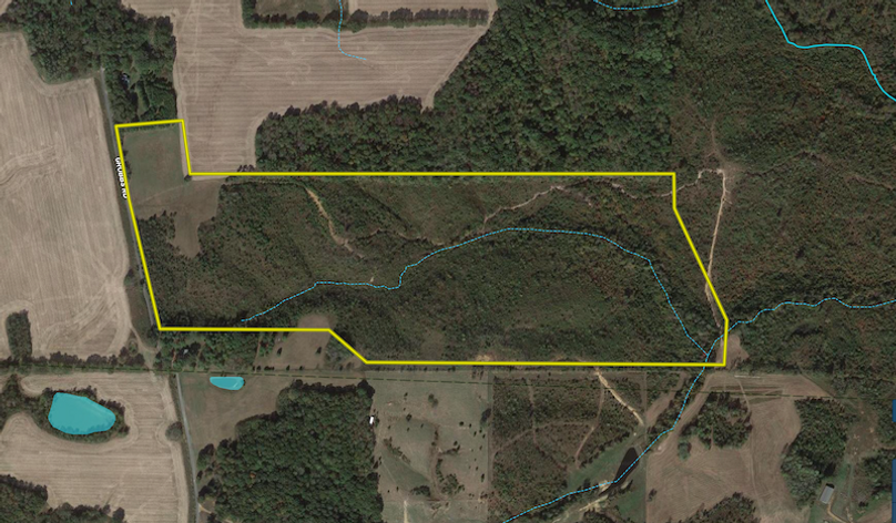 Screen Shot 2022-03-24 at 2.18.48 PM