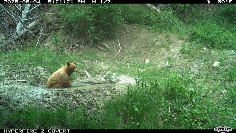 45805C89-C189-4F47-B219-EA4B7A4D9C0A