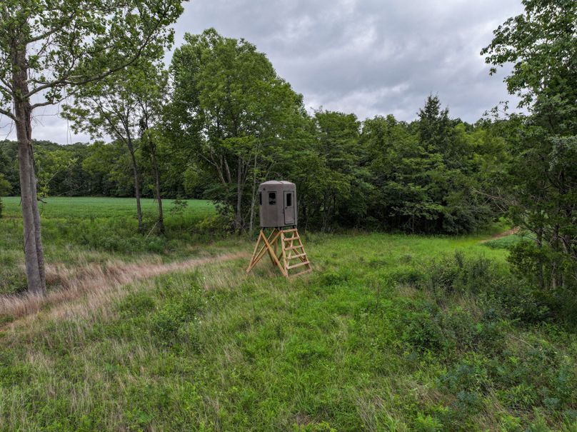 DJI_20230815082326_0016_D