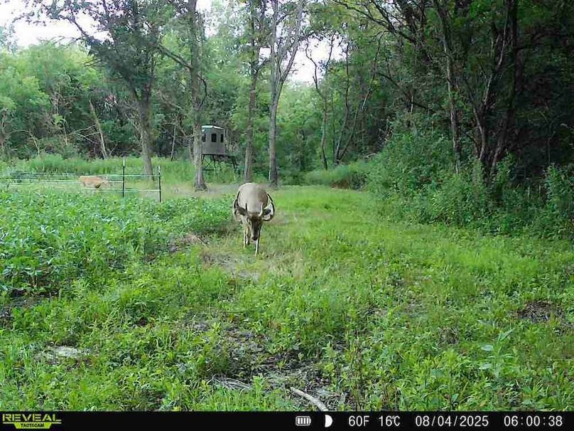 860516064223062-100-4-08042025060038-W1004963