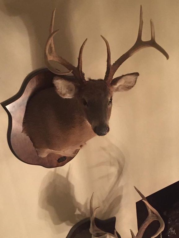 trail cam and harvest19