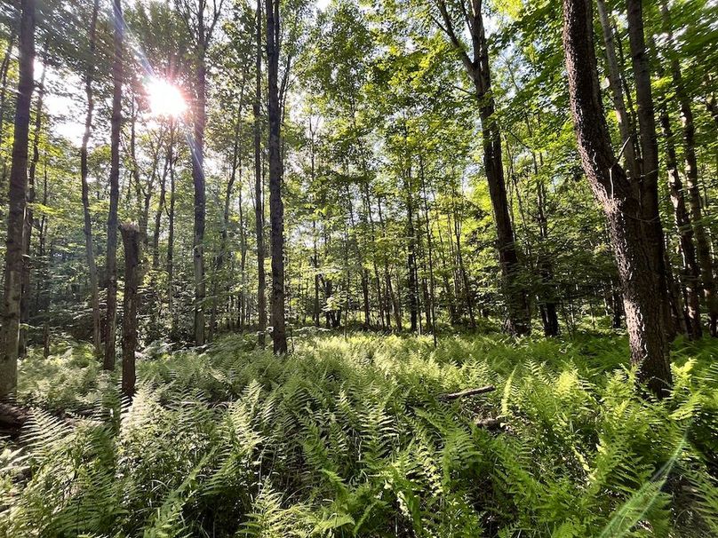 Jefferson_260.3_ Lobach_Photos_17