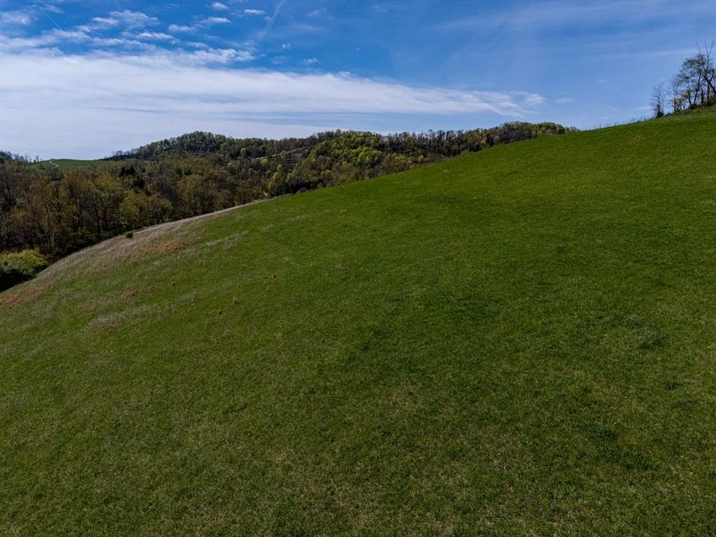 DJI_20250424100418_0234_D