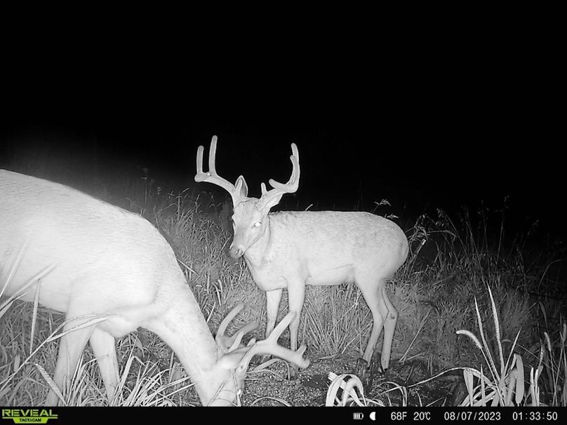 5CC96BB5-3153-47DA-AA06-37C55842B4C6