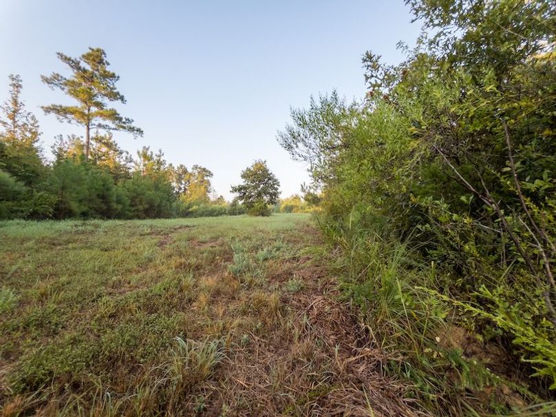 Madison Co - 40 - Clerk-13