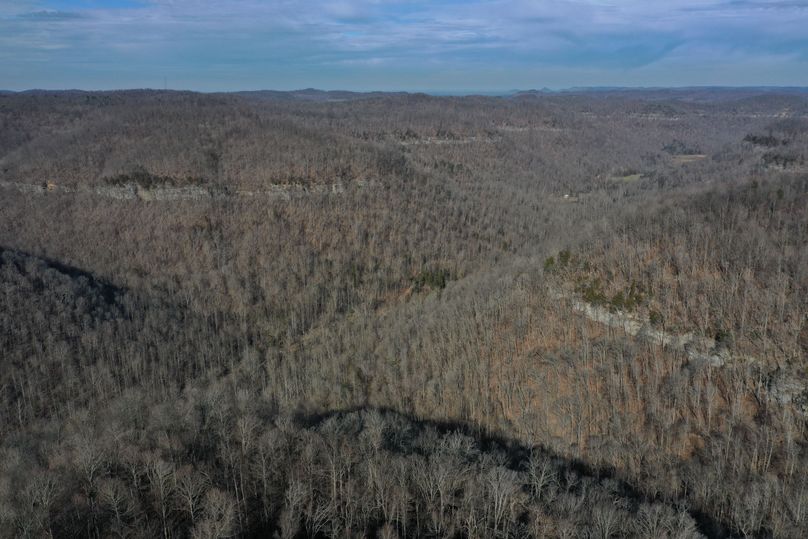020 aerial drone shot from the main National forest point looking down the valley