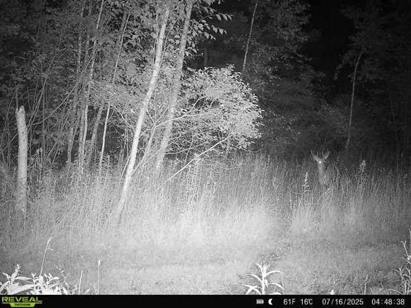 864049055148623-100-2-07162025044838-W1019462