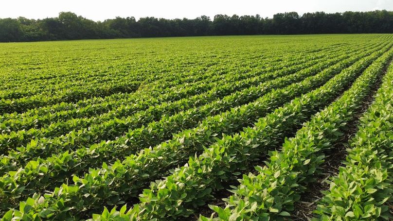 dji_fly_20240715_183040_709_1721086294884_photo_optimized