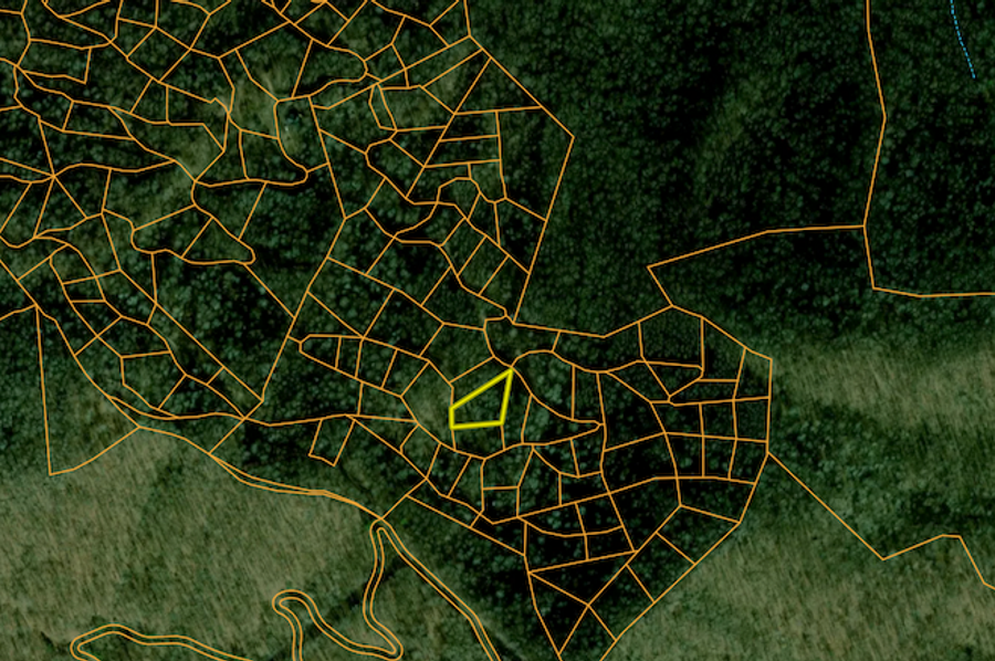 Screenshot 2025-03-19 at 10.45.23 AM