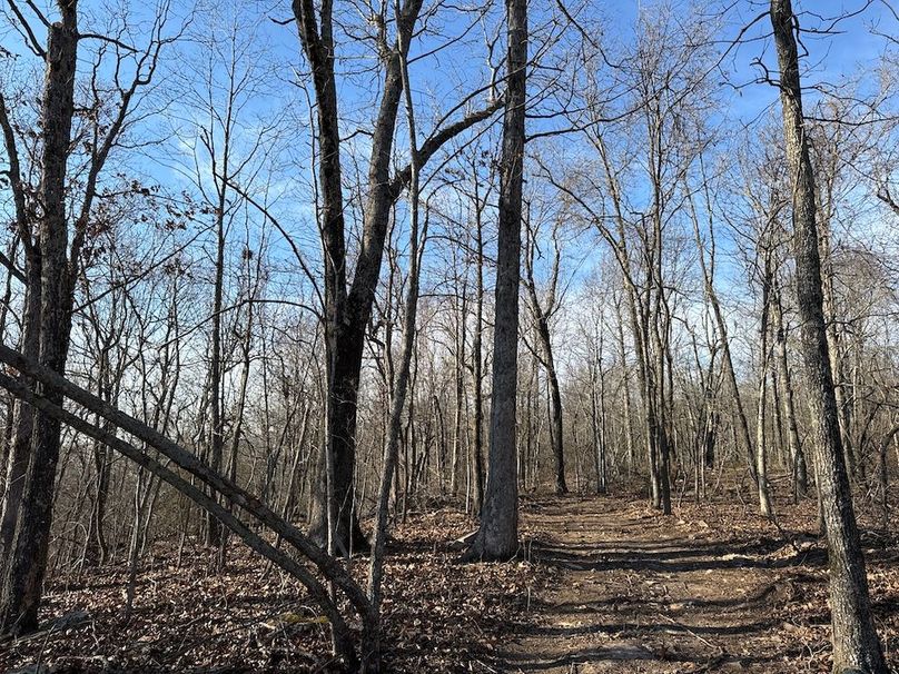 DJI_20260113_150136_751