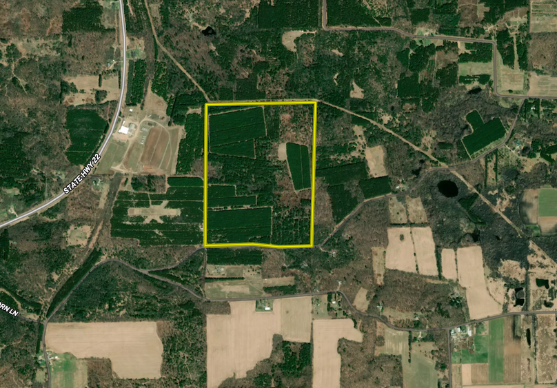 Screen Shot 2025-06-25 at 11.01.40 AM