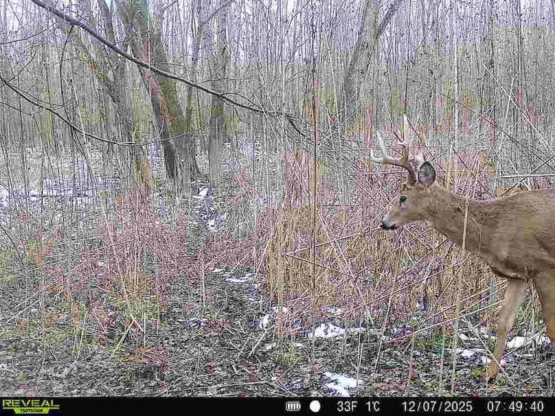 860516067590228-100-3-12072025074940-V-W1000101