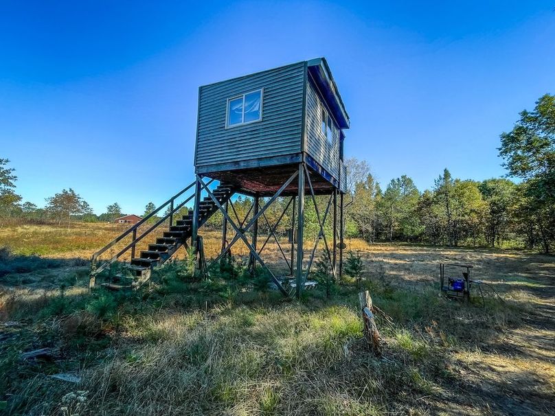 Juneau 27 Wiesner -070