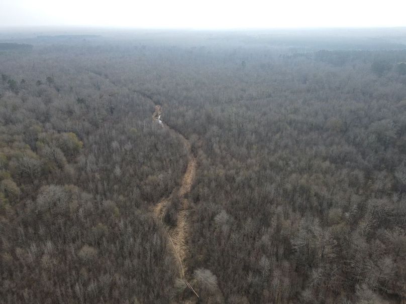 dji_fly_20260109_132922_792_1767987432667_photo