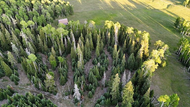 DJI_20250627200241_0040_D