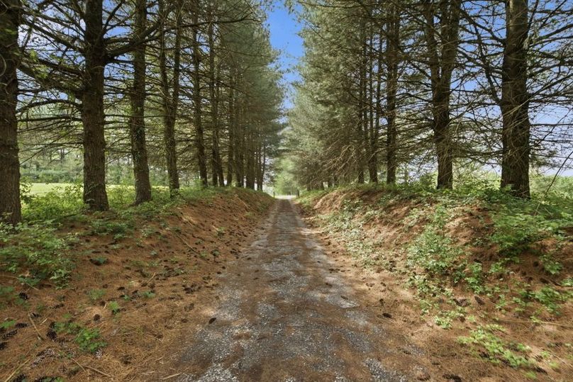 22-web-or-mls-DSC_0413