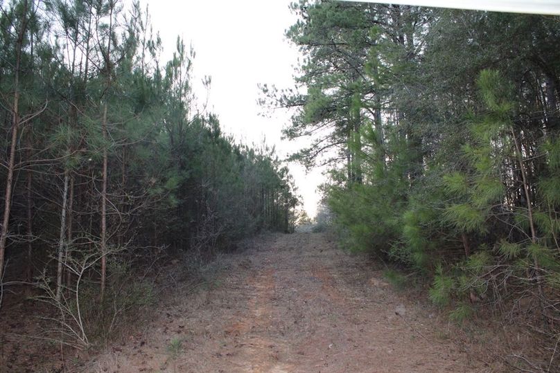 CEA1FE78-0CBA-43E9-B179-86AEE69E013D_1_105_c