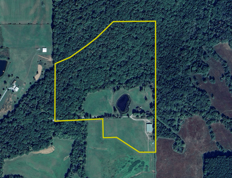 Screen Shot 2025-07-24 at 8.23.30 PM