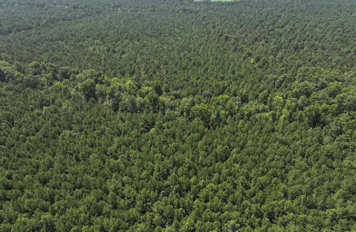 DJI_20240730114419_0013_D