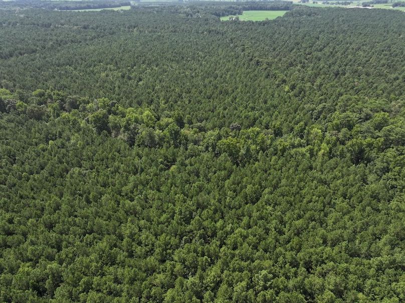 DJI_20240730114419_0013_D