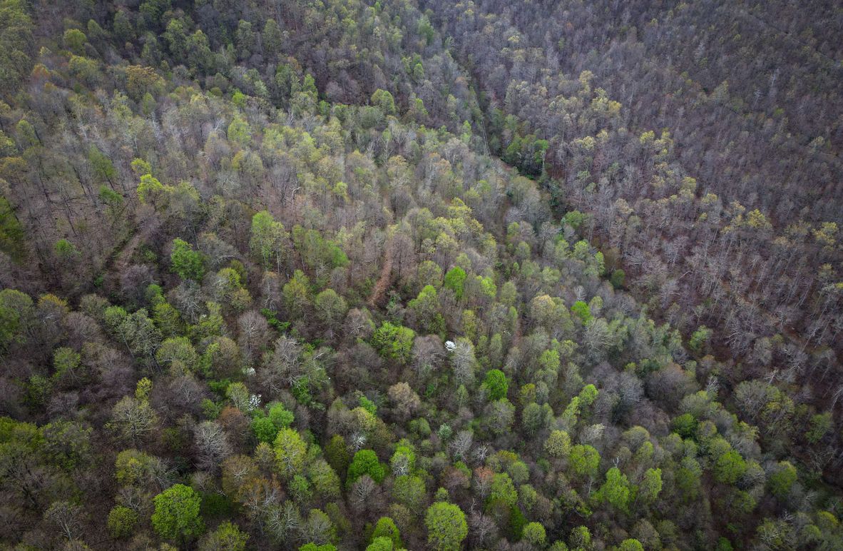 dji_fly_20230423_072156_628_1682248939209_photo