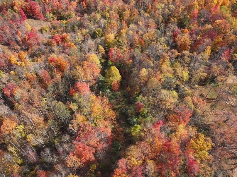 DJI_20241024233110_0411_D