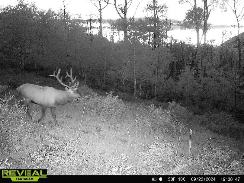 Copy of 864049052055672-20-4-09222024193846-HD-W1001190 (1)