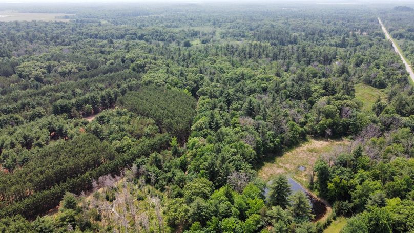 dji_fly_20230610_115116_589_1686416622960_photo_optimized