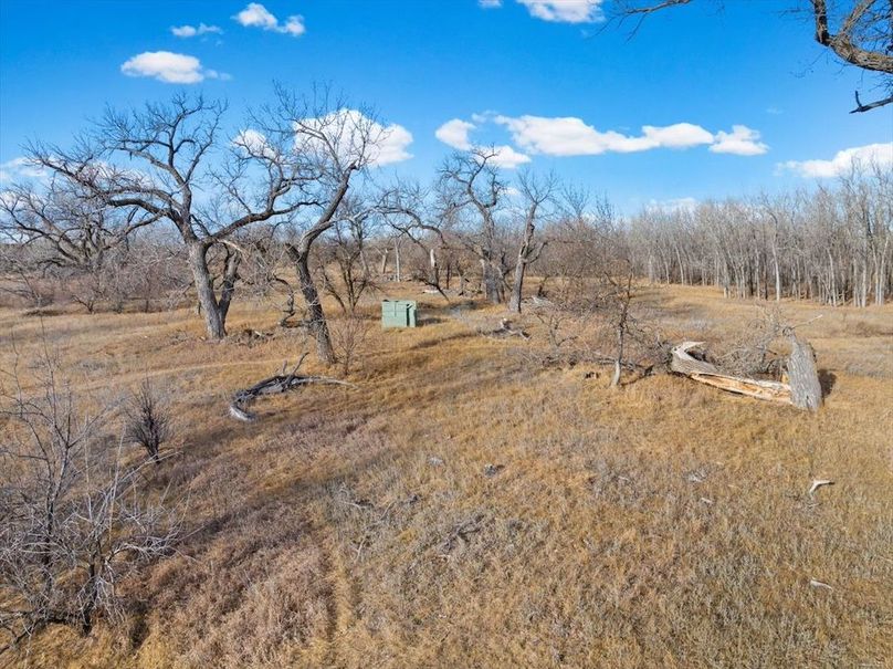 17-18947 Dillinger Road-30