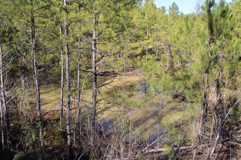 039E3975-E938-407F-AA86-A3F7F2D81D57_1_105_c