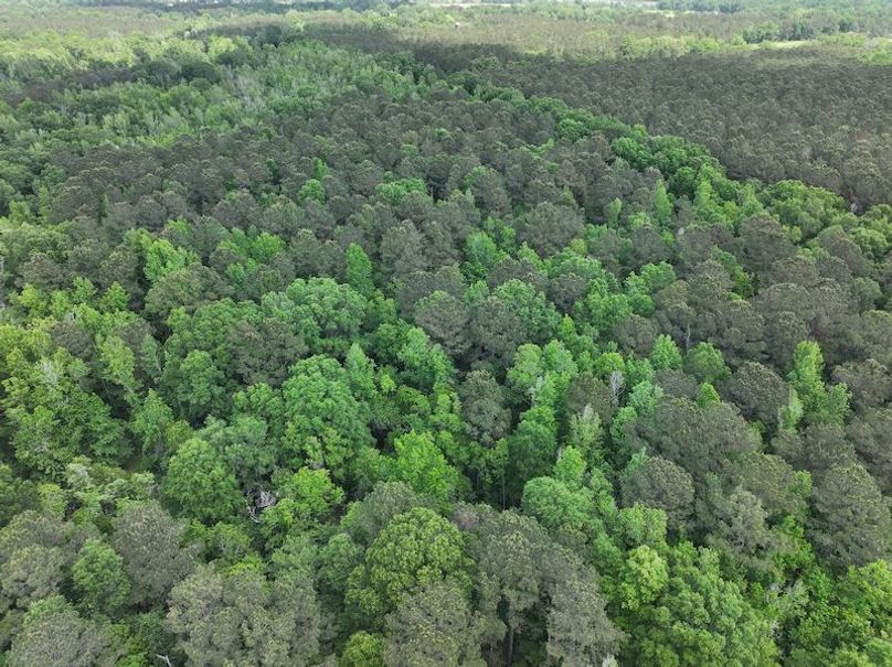 dji_fly_20260413_103844_0009_1776114943838_photo