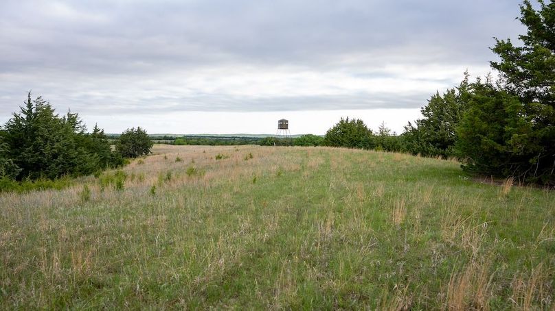DSC00967