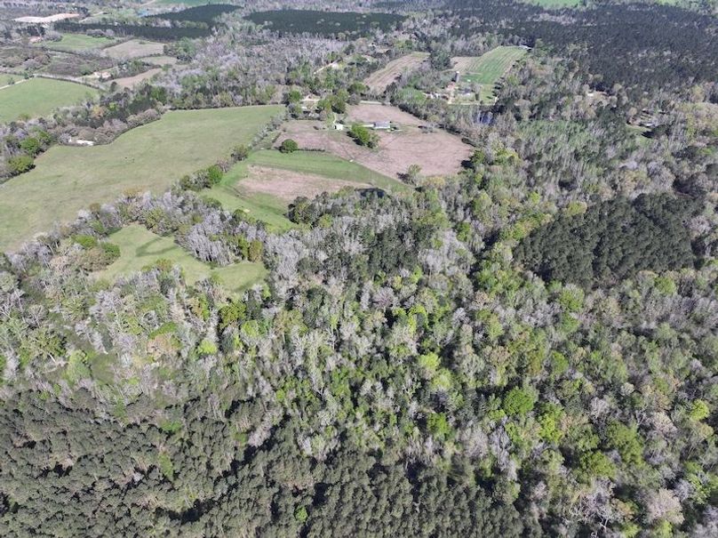 dji_fly_20260317_085740_0392_1773768881014_photo