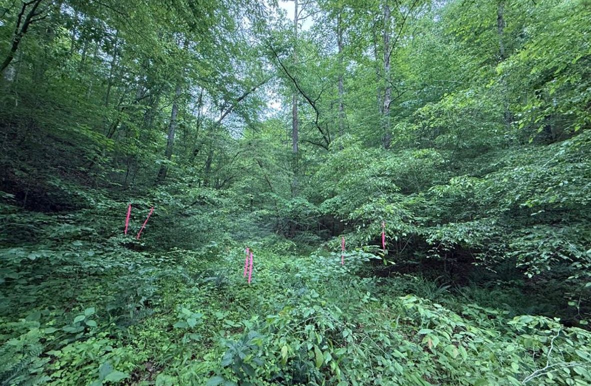 002 entrance into the property at the south boundary