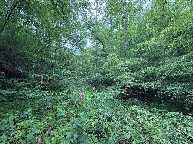 002 entrance into the property at the south boundary