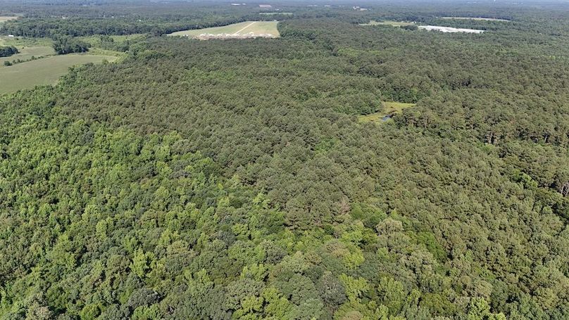 DJI_20250627095605_0111_D