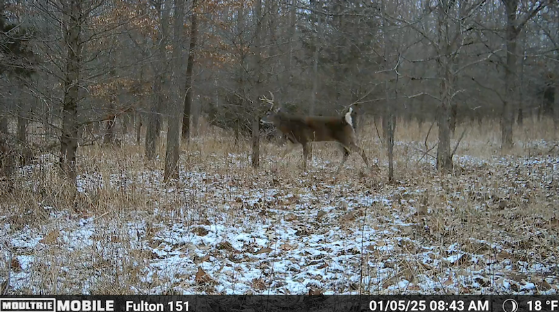 Screen Shot 2025-07-16 at 12.53.18 AM