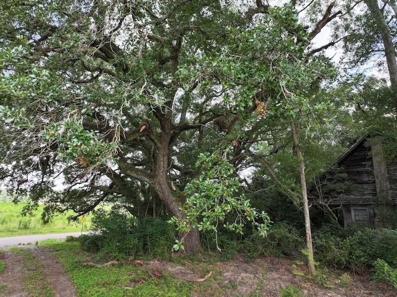 dji_fly_20250708_104136_0185_1752089900007_photo