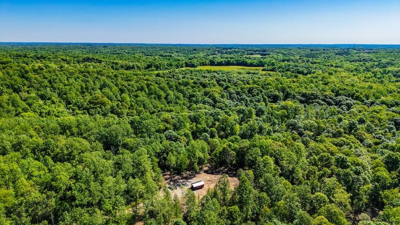 dji_fly_20260511_104642_0065_1778511522393_photo