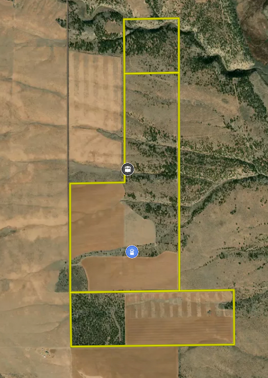 Screenshot 2025-08-25 at 3.08.25 PM