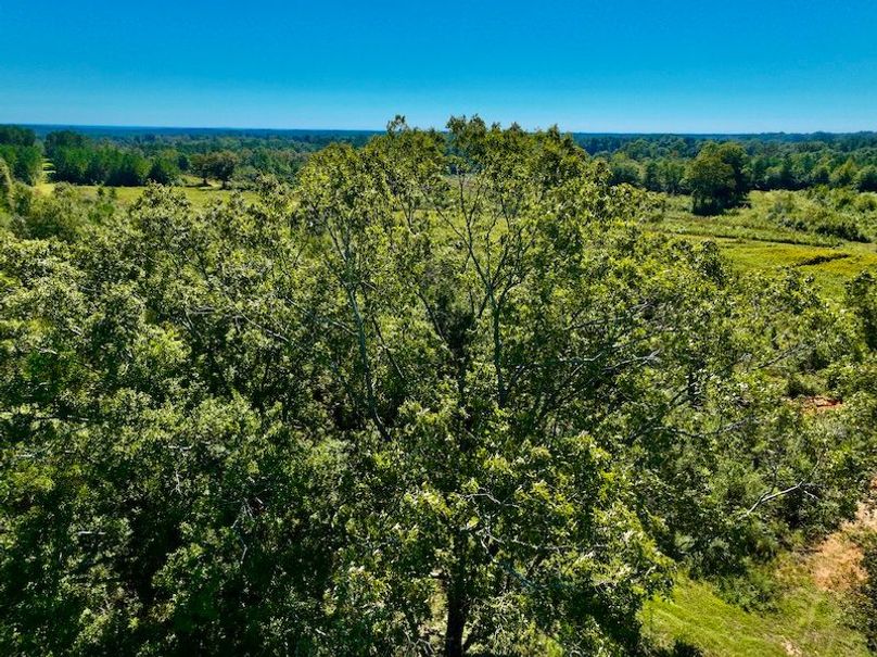 86C30CE5-1A16-4FE1-BC98-7632ABFF7727_1_201_a