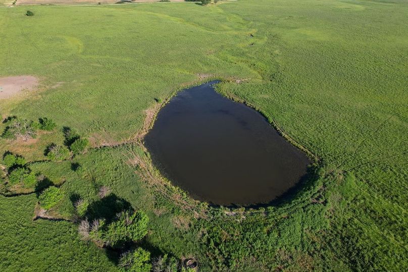 DJI_0697