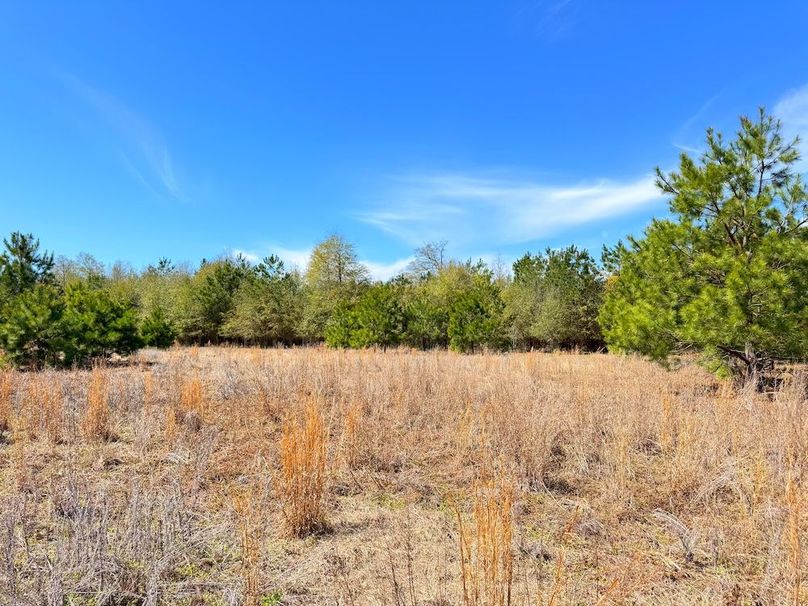 D22BA505-28DD-4A7D-A66F-3512CCAD38AA