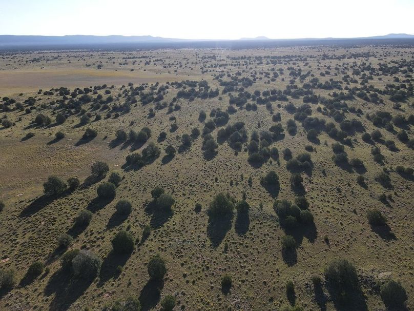 dji_fly_20240816_080722_522_1723817265889_photo