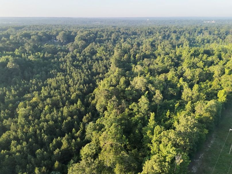 DJI_20250627071424_0011_V