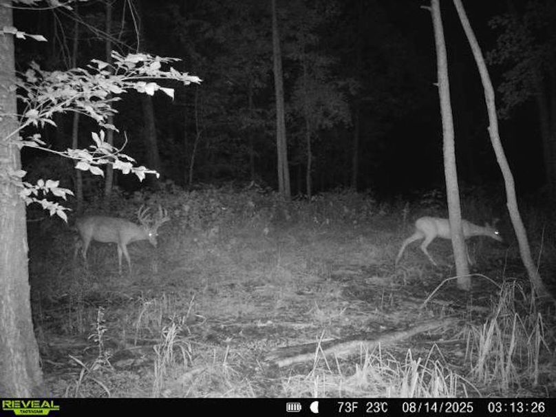 860516068101389-90-3-08142025031326-V-W1000137