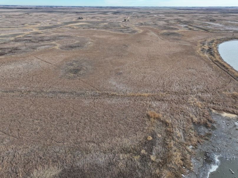 DJI_20241118113113_0318_D