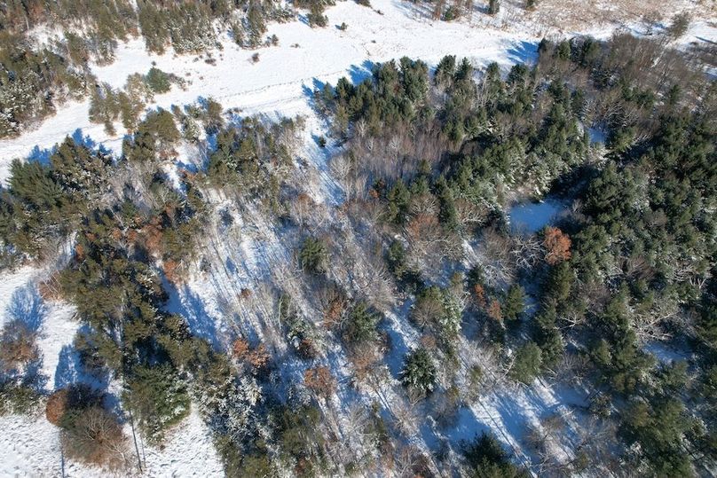 Juneau 105 Cantic -34