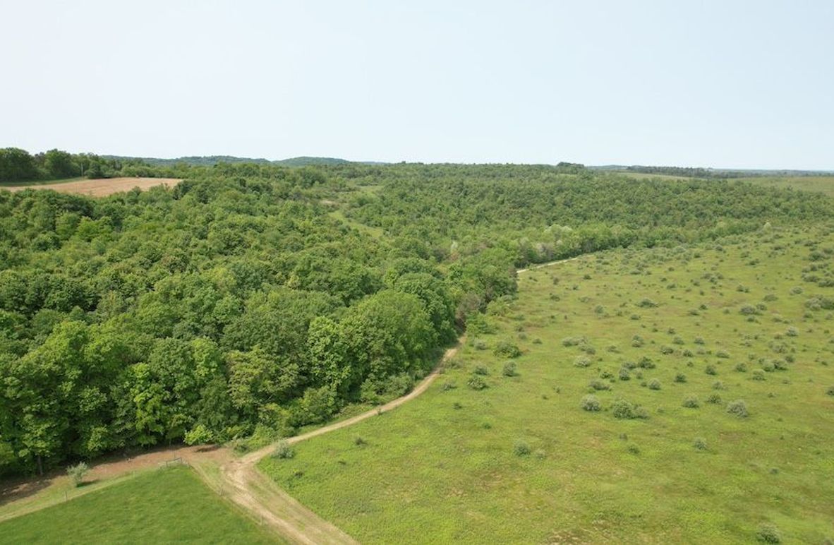 dji_fly_20250602_111352_266_1748877844026_photo