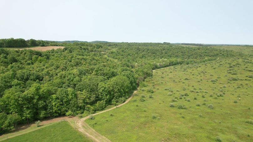dji_fly_20250602_111352_266_1748877844026_photo